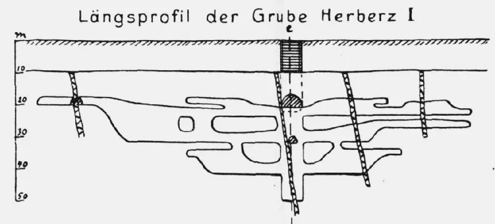 herberz-6.webp