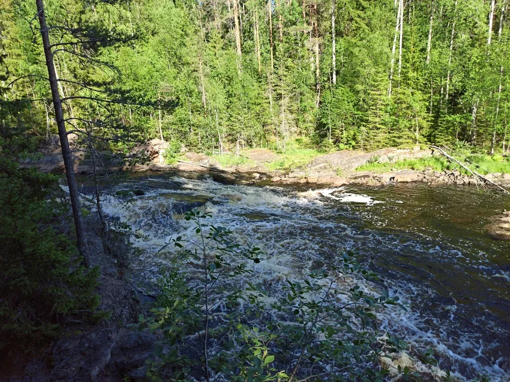 img_20200620_174049.webp