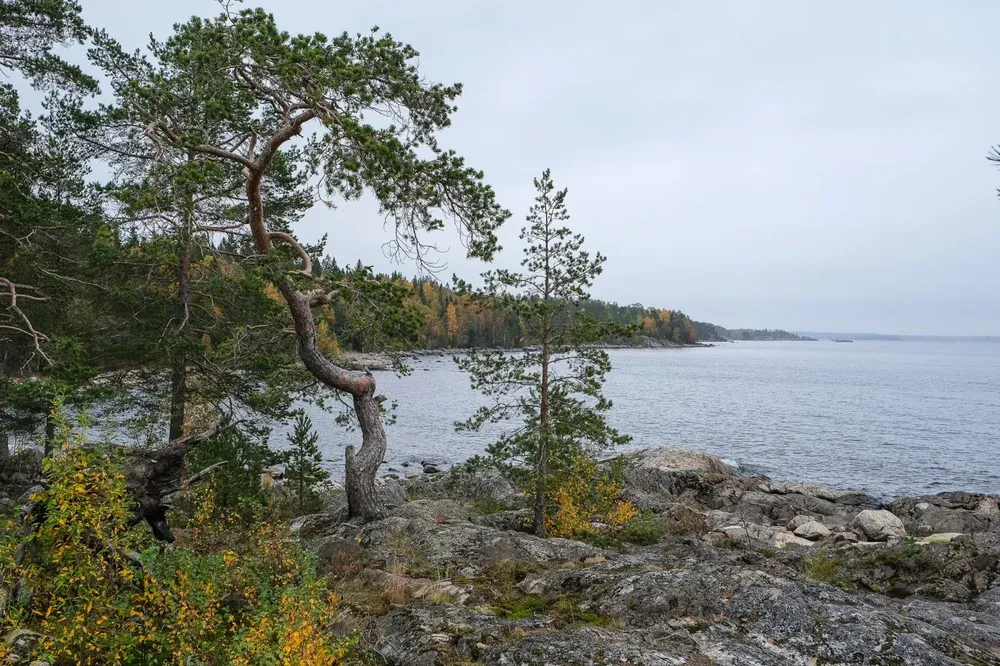 muc9v8kcjlk.webp