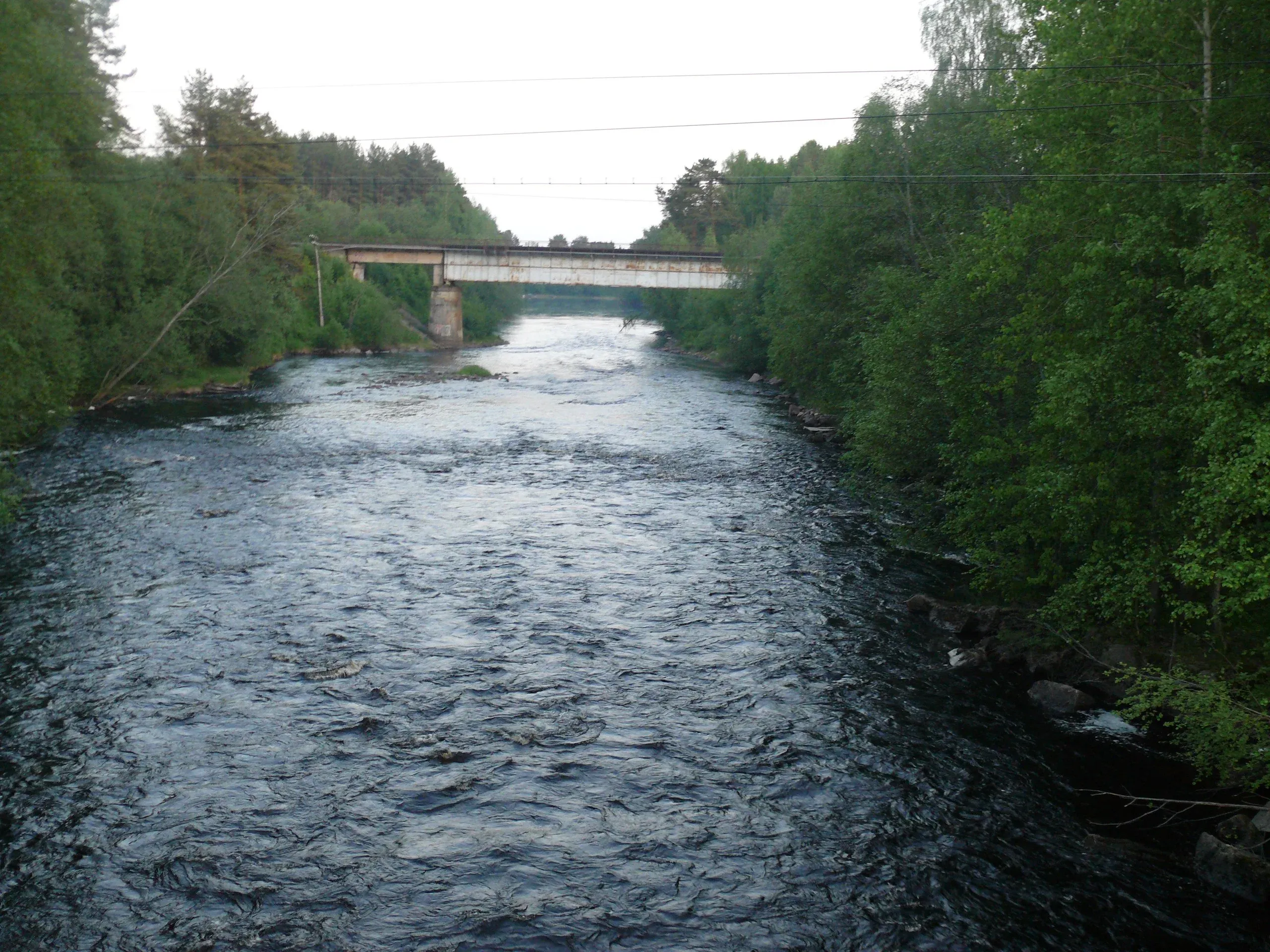 uuksu8.webp