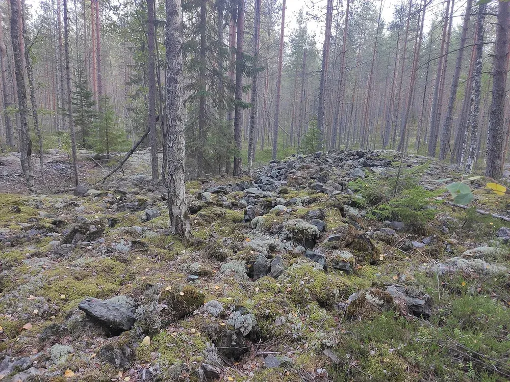 valkialampi.webp